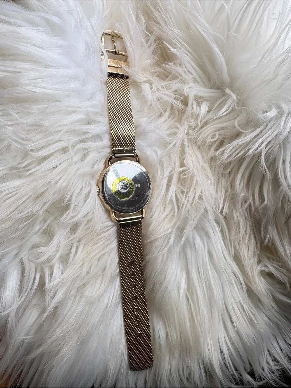 Coach Gold Mesh Strap Watch with Blue Dial